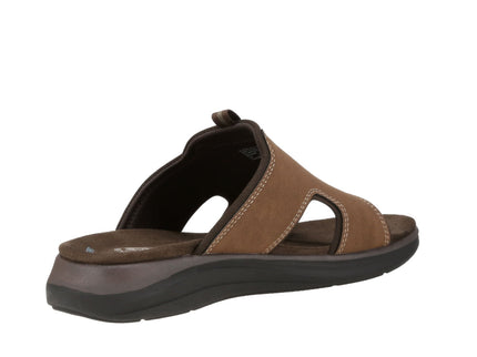 BARLIN - DARKTAN