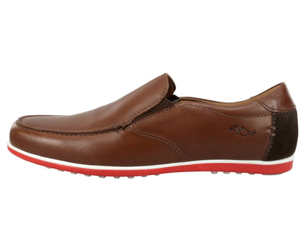 BAZA-2 - BROWN2