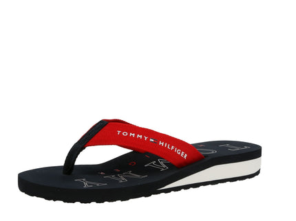 Flag Wedge Flip Flop - DSTSKY