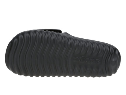 Adissage 360Rec