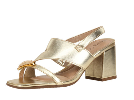 8436343 Brilho Italia