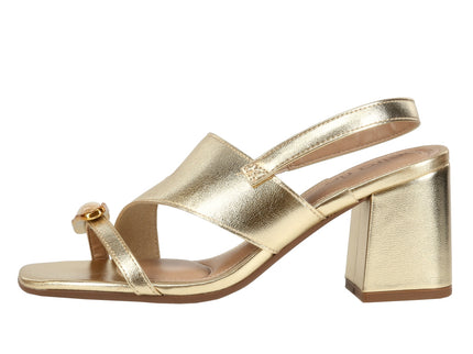 8436343 Brilho Italia