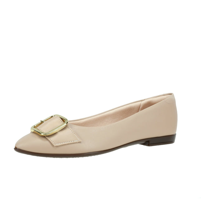 41361118 Np Sardenha