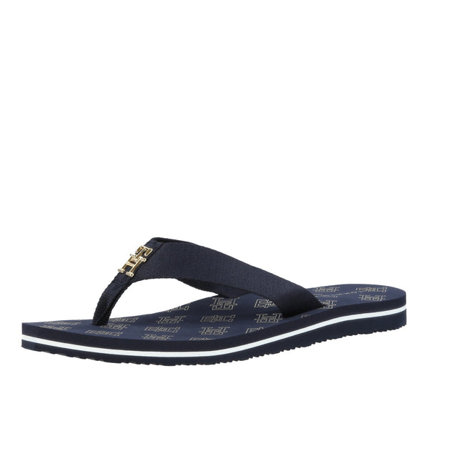 Th Elevated Flip Flop