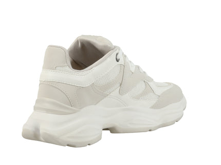 158019-13 Nb Np Mesh