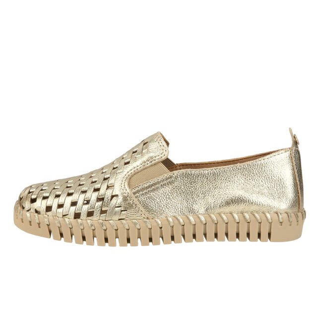 369501 Couro Metal Roma