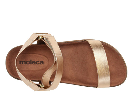 5500101 Metal Premium