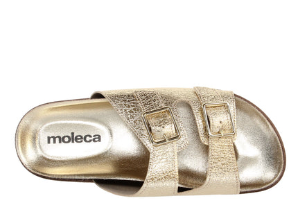 5500105 Metal Comfy