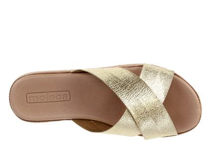 5539104 Metal Comfy Plus