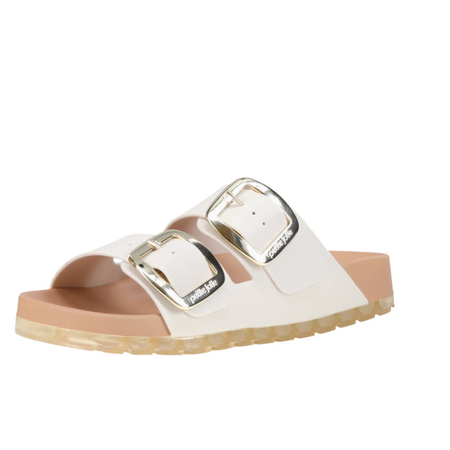 Pj7279