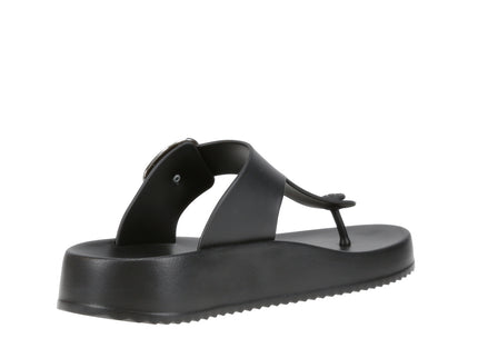 Pj7499