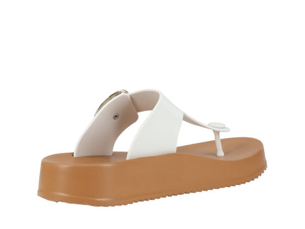Pj7499