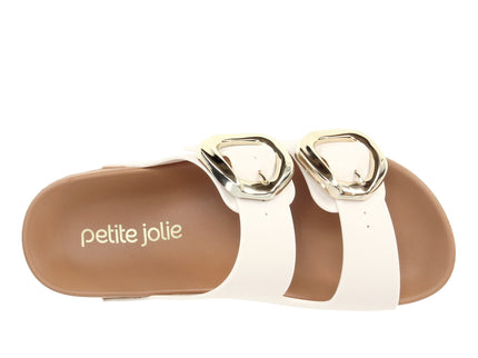 Pj7731