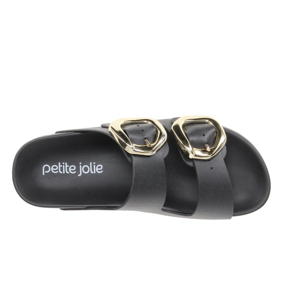 Pj7731