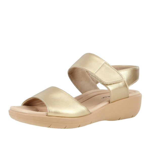 239016 Np Str Metal Fascitis