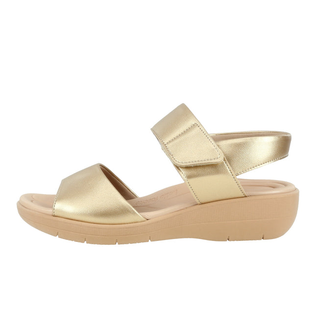 239016 Np Str Metal Fascitis