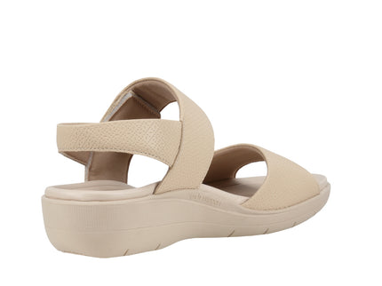 239016 Soft Ponti Fascitis