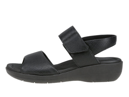 239016 Soft Ponti Fascitis