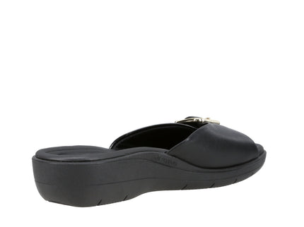 239031 Vz Amass Str Fascitis