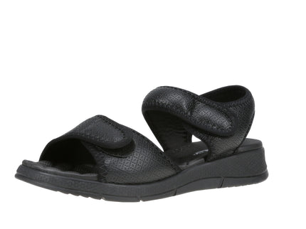 571003 Elas Ponti Espolon