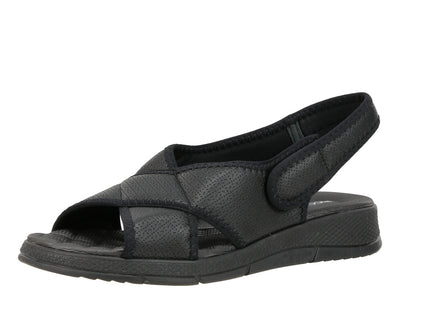 571013 Elast Ponti Espolon