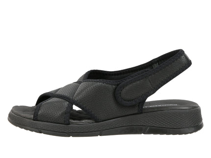 571013 Elast Ponti Espolon
