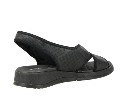 571013 Elast Ponti Espolon