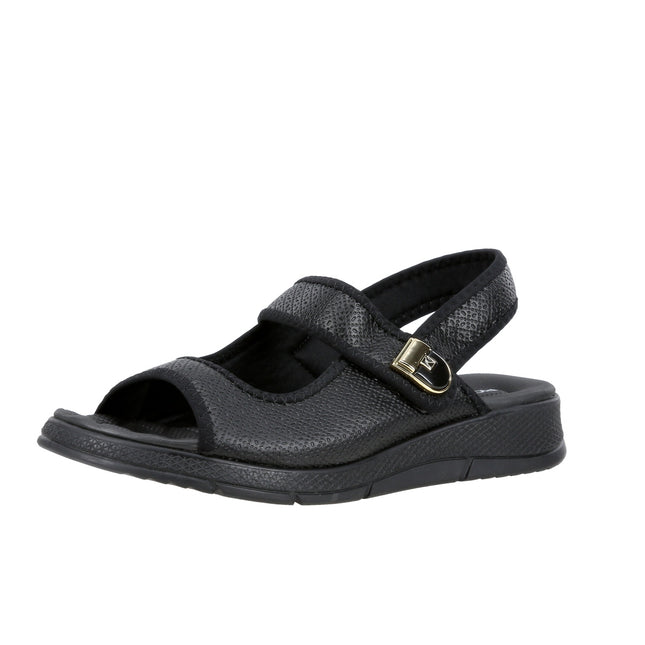 571017 Elas Str Ponti Wide