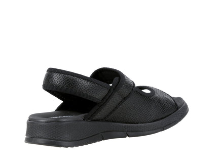 571017 Elas Str Ponti Wide