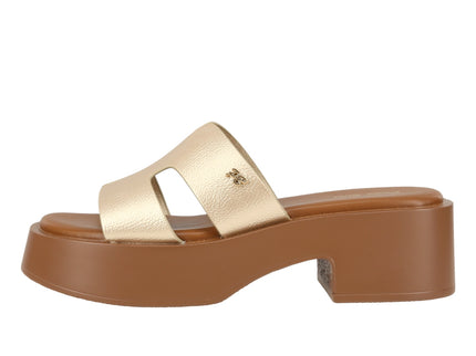 Asya Metallic