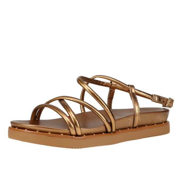 169004-01 Reflexo