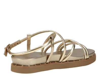 169004-01 Reflexo