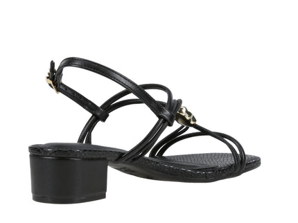 334002-01 Np Casual Cobra