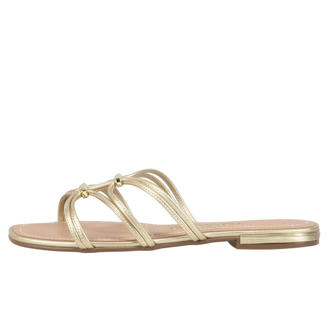 1300-19044 Metal Lyon