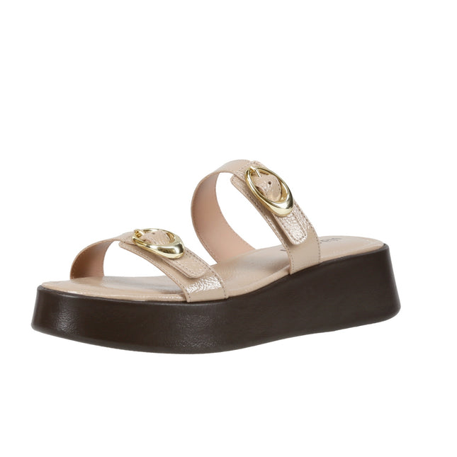 1727-18886 Verniz Show