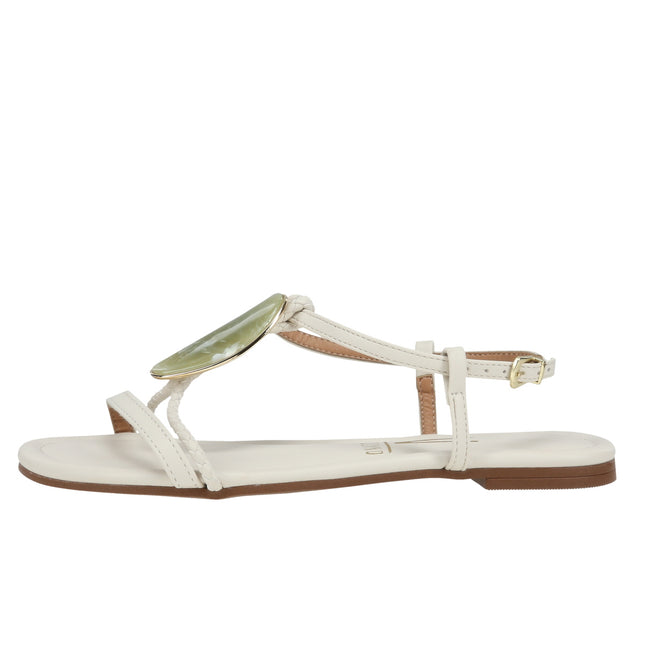 62351729 Pelica Tp