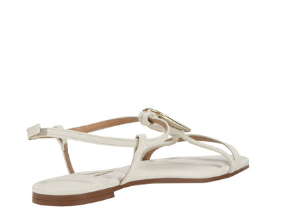 62351729 Pelica Tp
