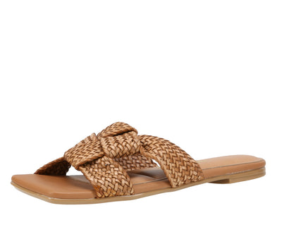 6513113 Gaspea Pelica