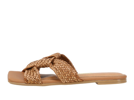 6513113 Gaspea Pelica
