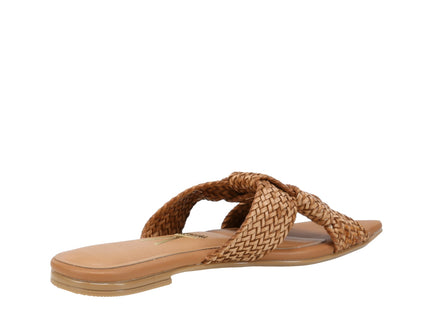 6513113 Gaspea Pelica