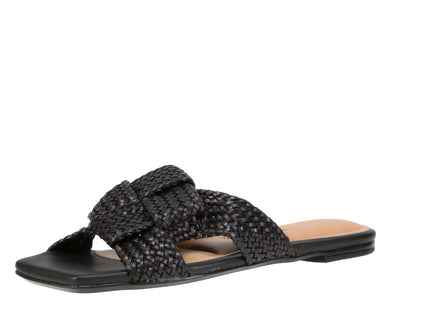 6513113 Gaspea Pelica