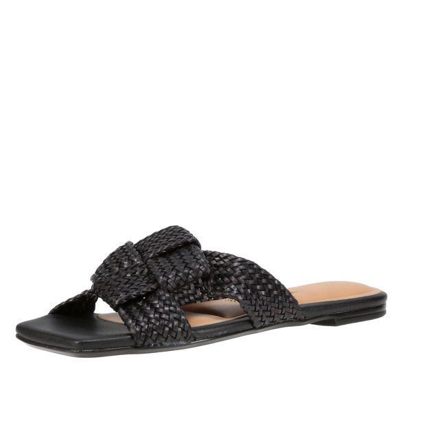 6513113 Gaspea Pelica