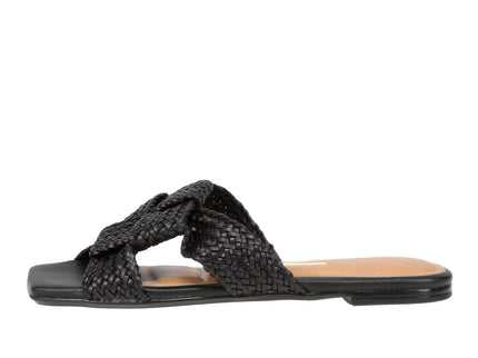 6513113 Gaspea Pelica