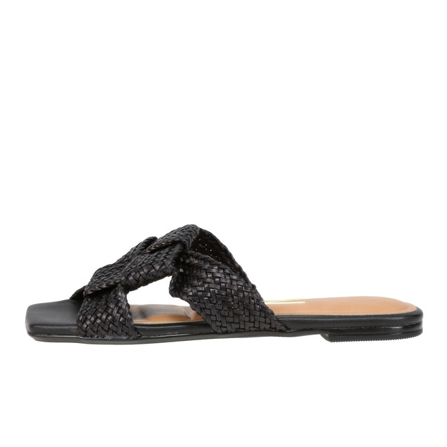 6513113 Gaspea Pelica