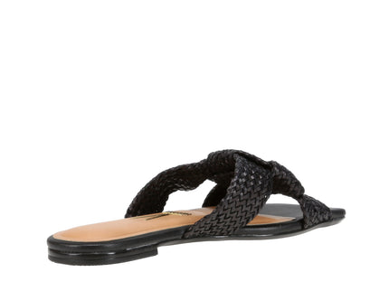 6513113 Gaspea Pelica