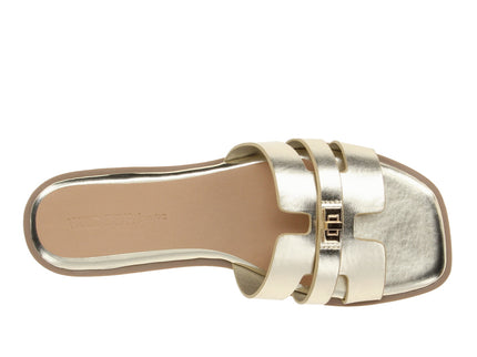Belize-53  Metallic