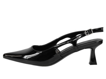 Aleena-01 Patent